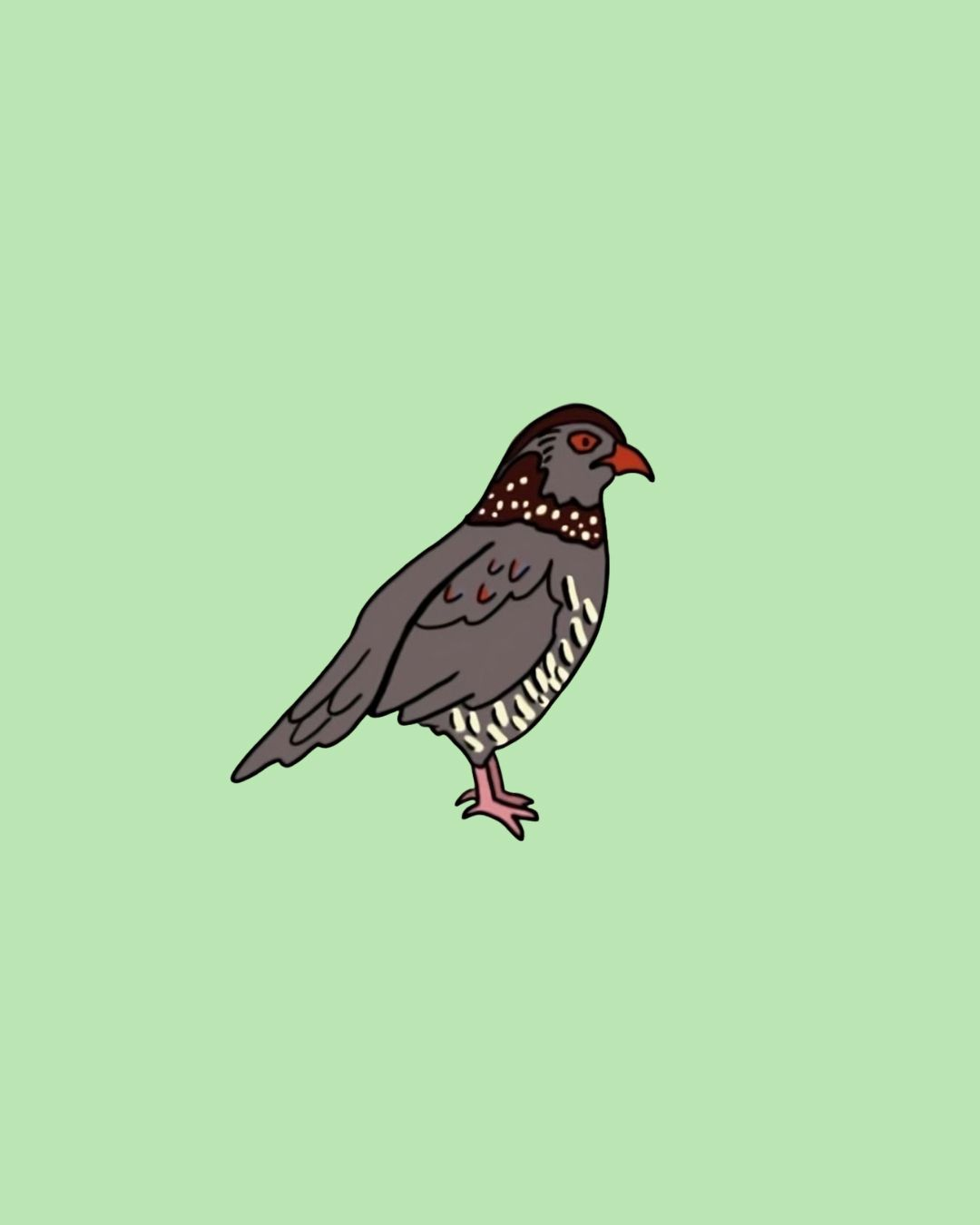 Barbary Partridge pin