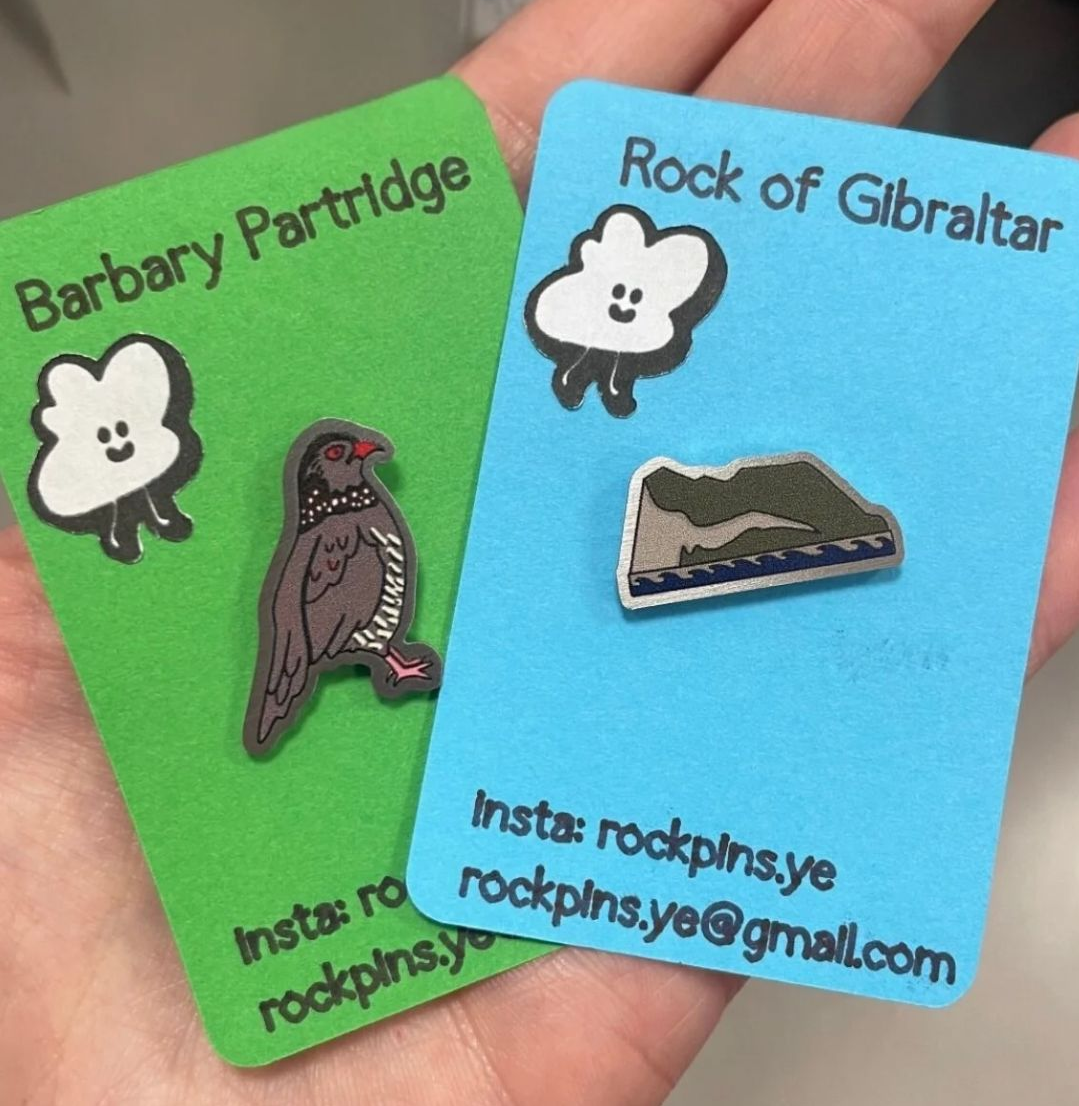 Collectible pins in hand